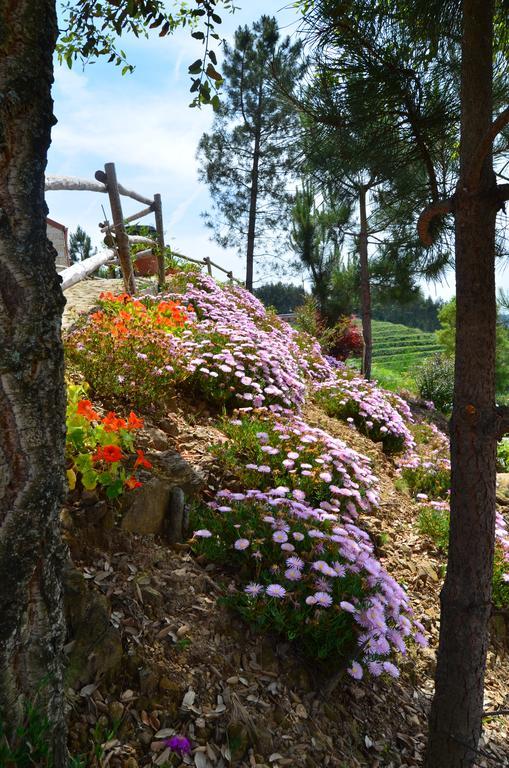Villa De Paco 세베르도부가 외부 사진